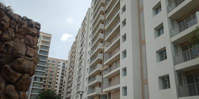 3 BHK Flat