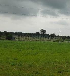 Gallery Cover Image of Sq.ft Residential Plot for buy in Mansanpally for 4000000