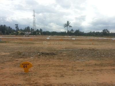 Residential Plot