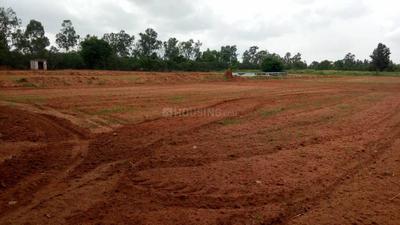 Gallery Cover Image of Sq.ft Residential Plot for buy in Navarathna Agrahara for 6598000