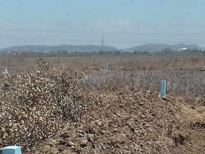 Gallery Cover Image of Sq.ft Residential Plot for buy in Panvel for 600000