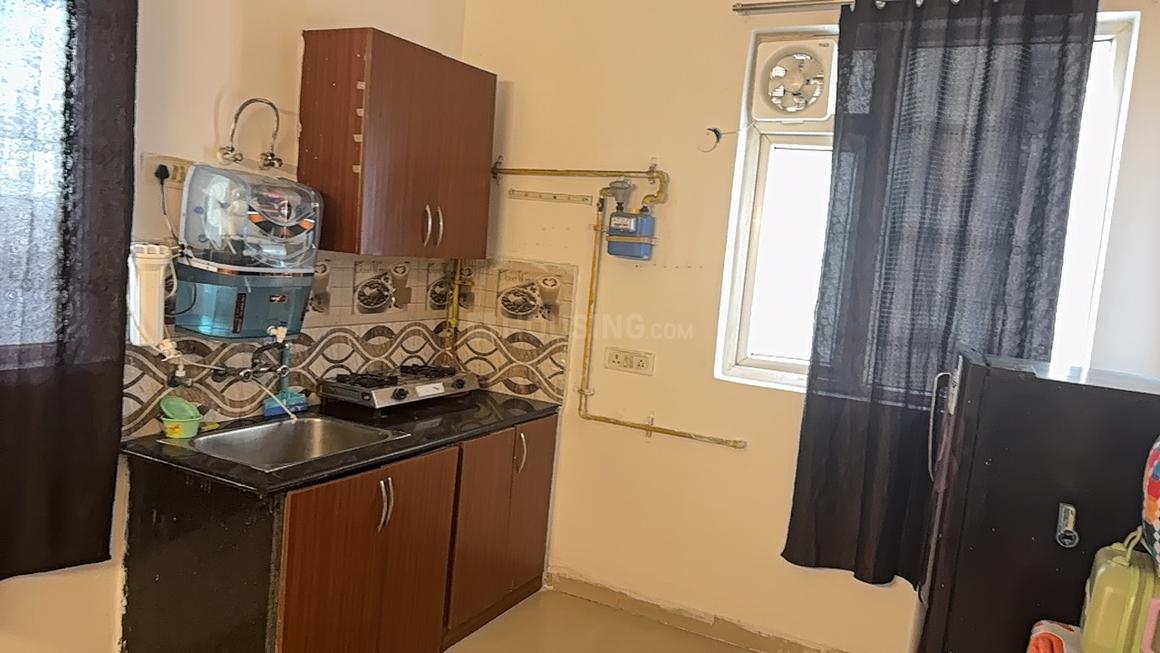 Urbtech Xaviers - Image 27