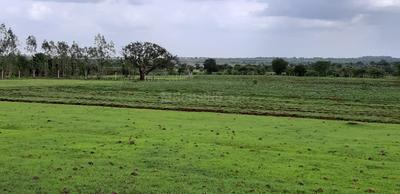 Residential Plot