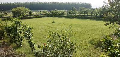 Residential Plot