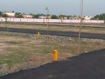 Residential Plot