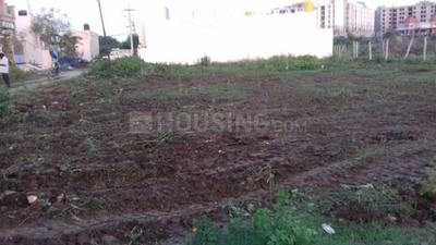 Residential Plot
