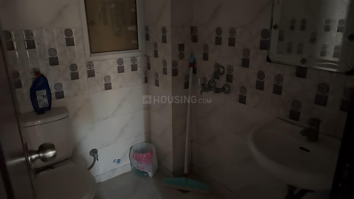 Exotica Dreamville - Image 11