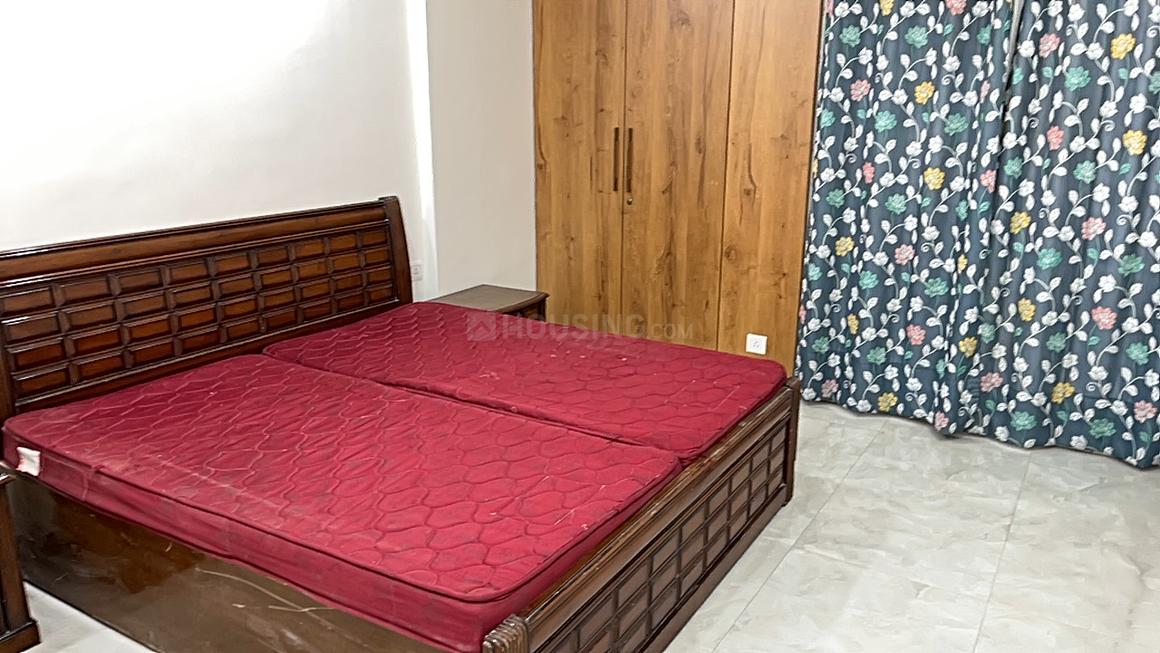 Town White Orchid - Image 4