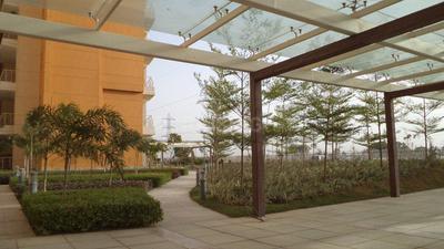 Gallery Cover Image of 1753 Sq.ft 3 BHK Apartment for rent in BPTP The Resort, Sector 75 for 15000