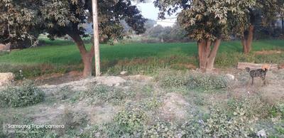 Gallery Cover Image of Sq.ft Residential Plot for buy in Gosainganj for 680000