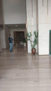 Gallery Cover Image of 1380 Sq.ft 2 BHK Apartment for rent in Supertech Supernova, Sector 94 for 30000