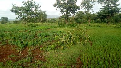 Gallery Cover Image of Sq.ft Residential Plot for buy in Boisar for 350000