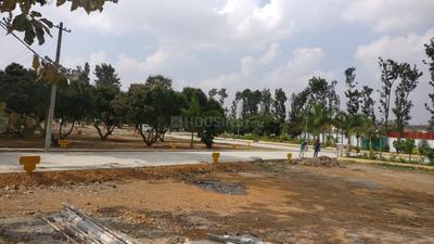 Residential Plot