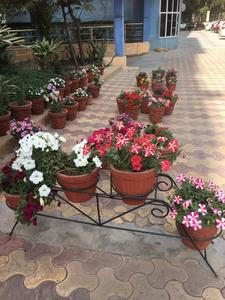 Gallery Cover Image of 2600 Sq.ft 3 BHK Apartment for buy in Mahagun Morpheus, Sector 50 for 16000000