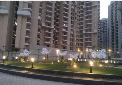3 BHK Apartment