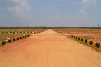 Residential Plot