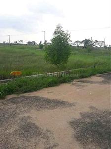Gallery Cover Image of Sq.ft Residential Plot for buy in Kankipadu for 1350000