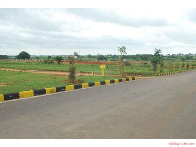 Residential 300 Sqft Plot For Sale At Sadhrana Bamripur Gurgaon Property Id 3973270