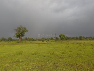 Residential Plot