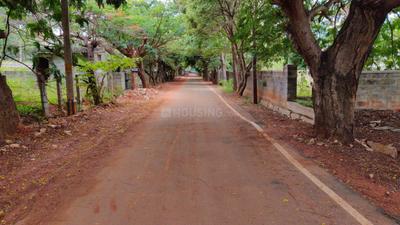 Residential Plot