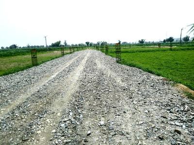 Gallery Cover Image of Sq.ft Residential Plot for buy in Mohalariyan for 900000