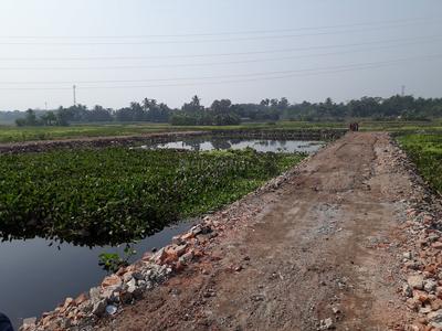 Gallery Cover Image of Sq.ft Residential Plot for buy in Shyamnagar for 1200000