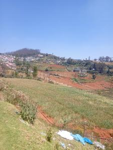 96800 Sq.ft Residential Plot for Sale in Elk Hill, Nilgiris