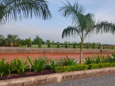 Residential Plot