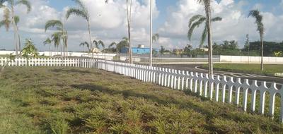 Gallery Cover Image of Sq.ft Residential Plot for buy in Perumbakkam for 37500000