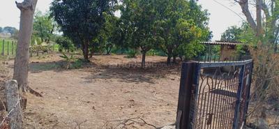 Residential Plot