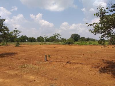 Gallery Cover Image of Sq.ft Residential Plot for buy in Gollapalle Kalan for 7552400