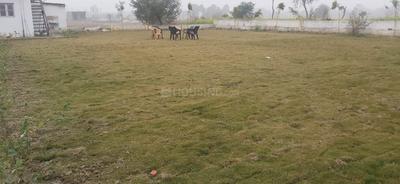 100 Sq.ft Residential Plot for Sale in Sector 162, Noida