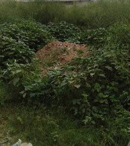 Gallery Cover Image of Sq.ft Residential Plot for buy in Sector 42 for 15000200