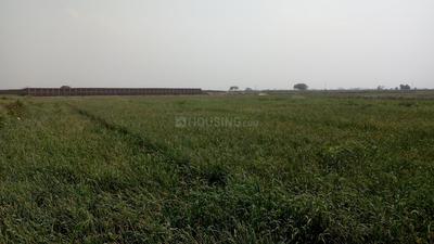 1200 Sq.ft Residential Plot for Sale in Paijawa, Patna