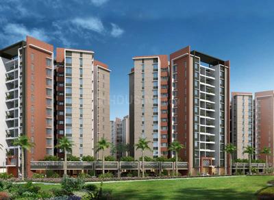 4 BHK Apartment
