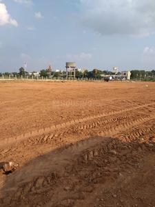 Residential Plot