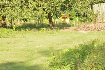 Residential Plot
