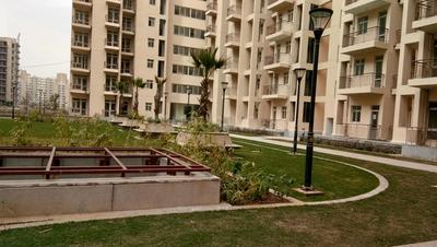 3 BHK Apartment