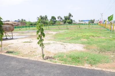 Gallery Cover Image of Sq.ft Residential Plot for buy in Thirumazhisai for 2612750