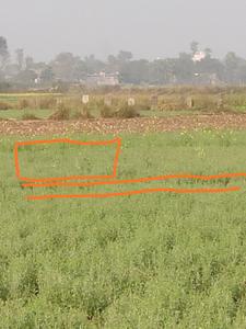 1020 Sq.ft Residential Plot for Sale in Sipara, Patna