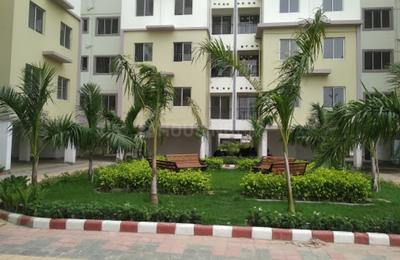 3 BHK Apartment