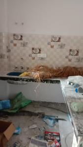 Gallery Cover Image of 720 Sq.ft 2 BHK Independent House for buy in Sector 105 for 4400000