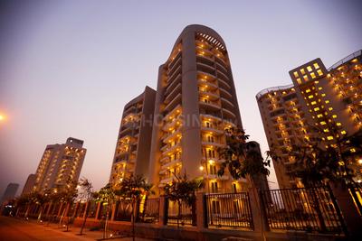 Gallery Cover Image of 1572 Sq.ft 3 BHK Apartment for buy in Sector 80 for 5800000