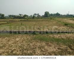 3 BHK Villa