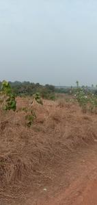 Gallery Cover Image of Sq.ft Residential Plot for buy in Titwala for 100000000