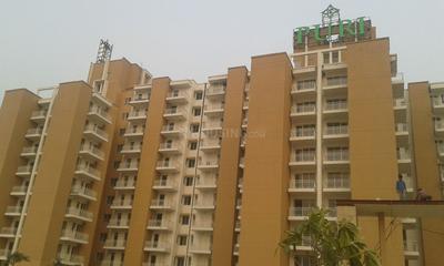 Gallery Cover Image of 1400 Sq.ft 3 BHK Independent House for buy in Sector 81 for 5400000