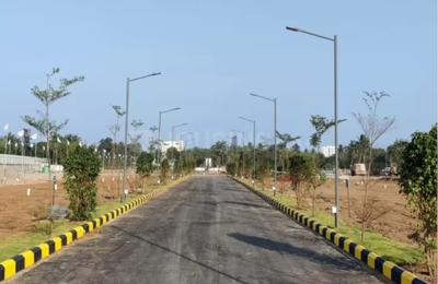 Residential Plot