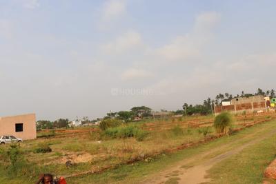 Residential Plot