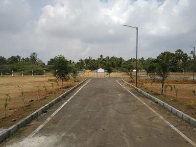 Residential Plot