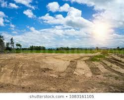 630 Sq.ft Residential Plot for Sale in Sector 25, Noida